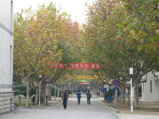 College Main Pathway - Just cleaned by workers