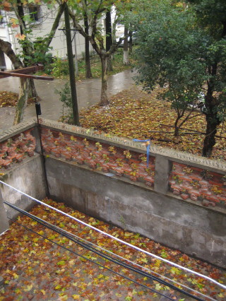 Autumn Colours from Bedroom