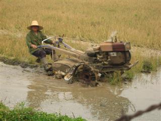 Preparing the Paddy