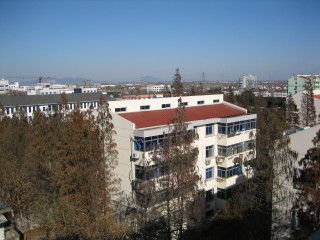 North East over newer apartment block in our compound