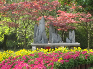 Humble Administrator's Garden